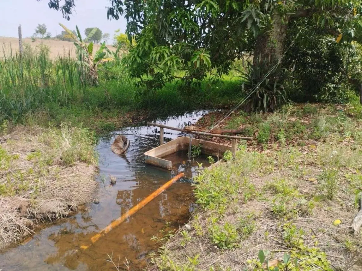 Sítio à venda de 13 ha em Cajuru, SP, Brasil