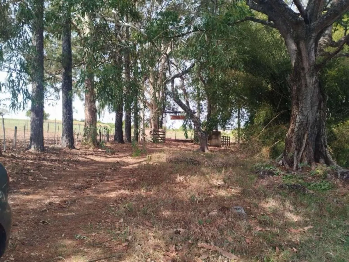 Sítio à venda de 13 ha em Cajuru, SP, Brasil