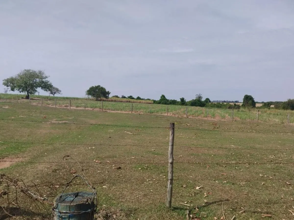 Sítio à venda de 13 ha em Cajuru, SP, Brasil