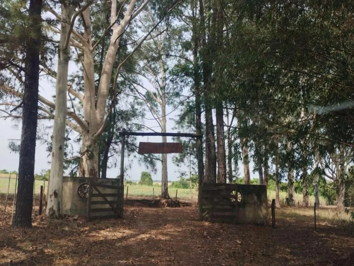 Sítio à venda de 13 ha em Cajuru, SP, Brasil