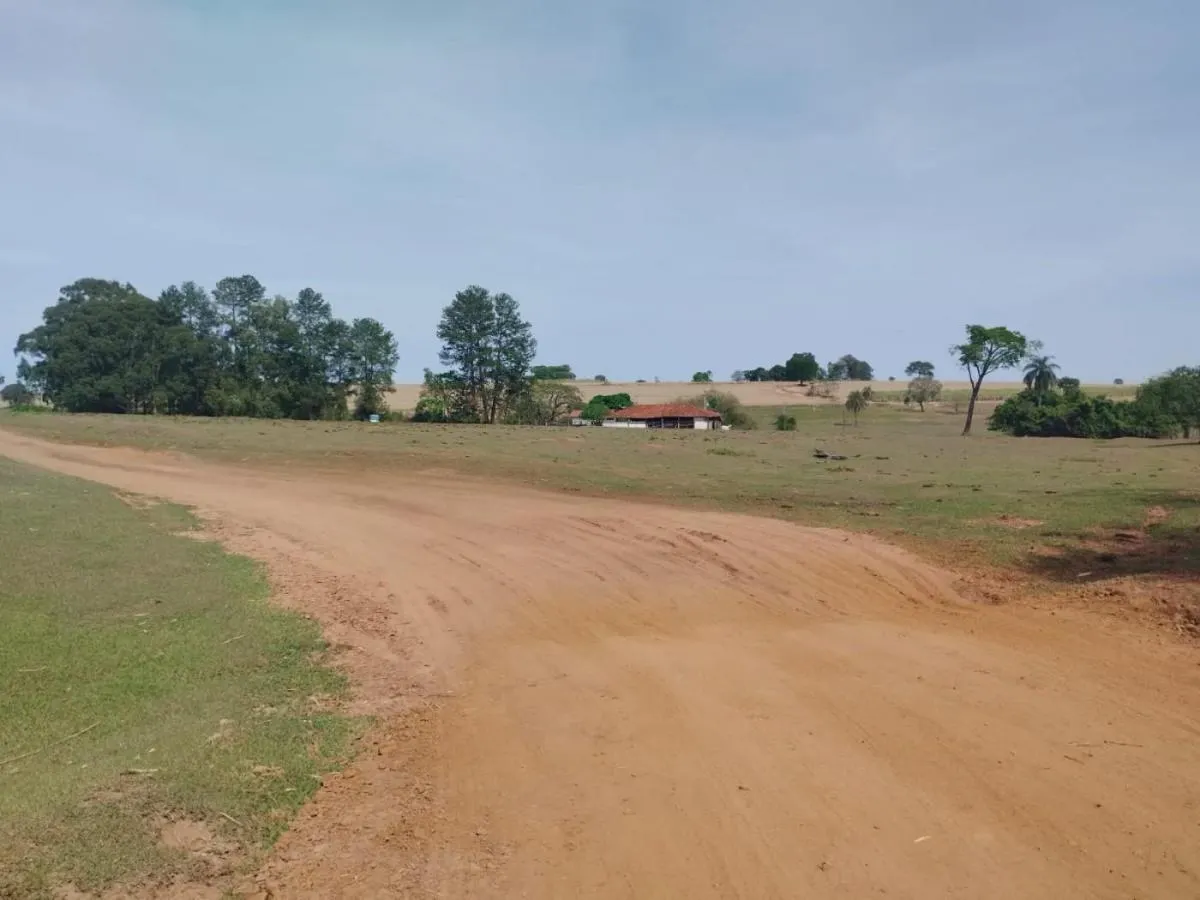 Sítio à venda de 13 ha em Cajuru, SP, Brasil