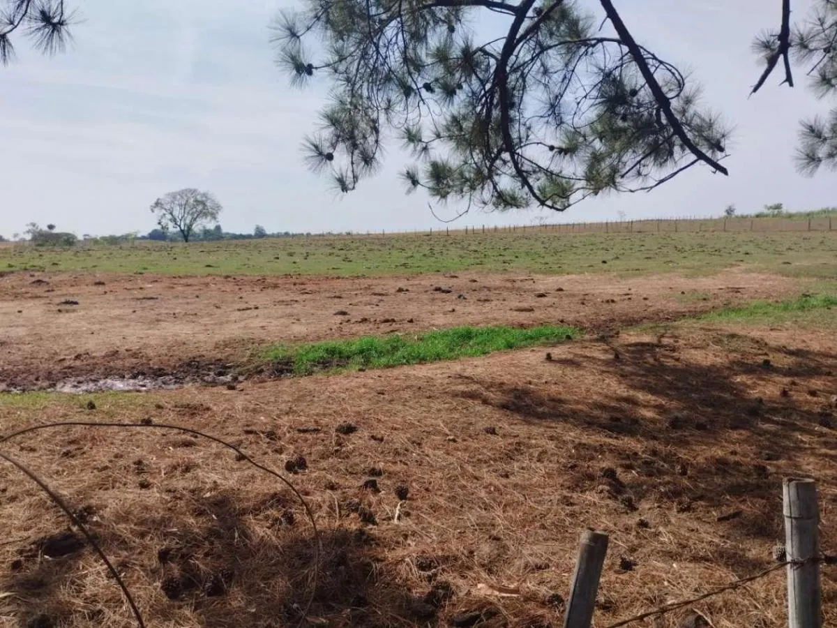 Sítio à venda de 13 ha em Cajuru, SP, Brasil