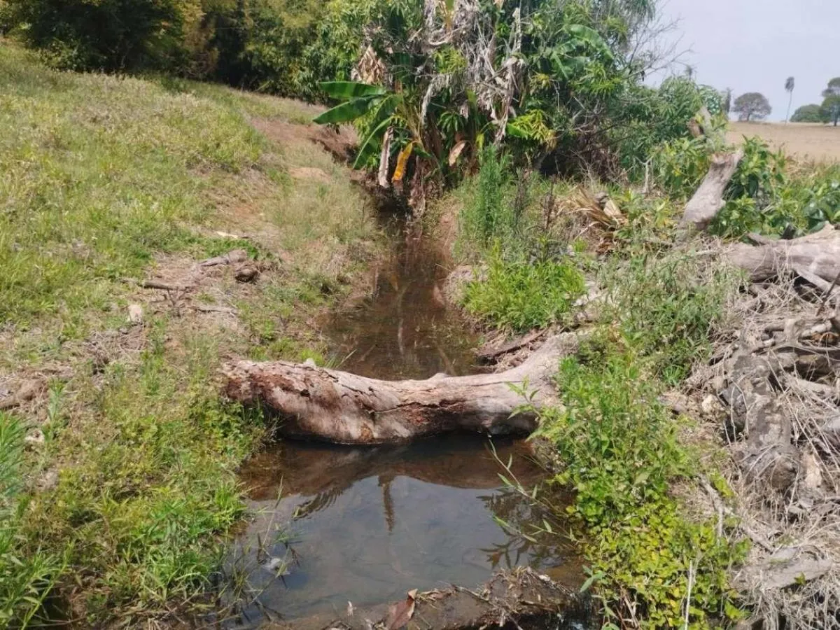 Sítio à venda de 13 ha em Cajuru, SP, Brasil
