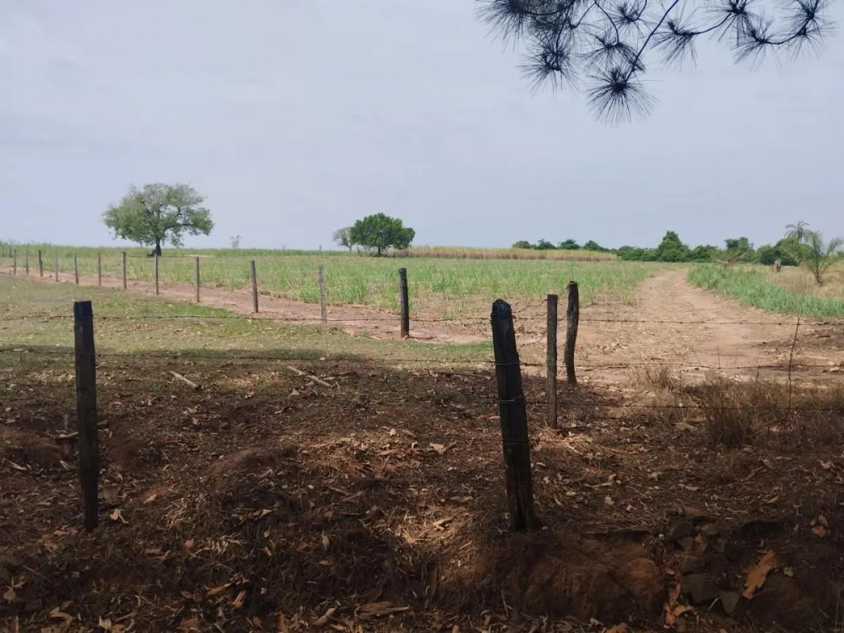 Sítio à venda de 13 ha em Cajuru, SP, Brasil