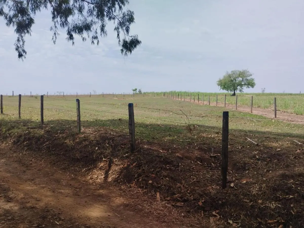 Sítio à venda de 13 ha em Cajuru, SP, Brasil
