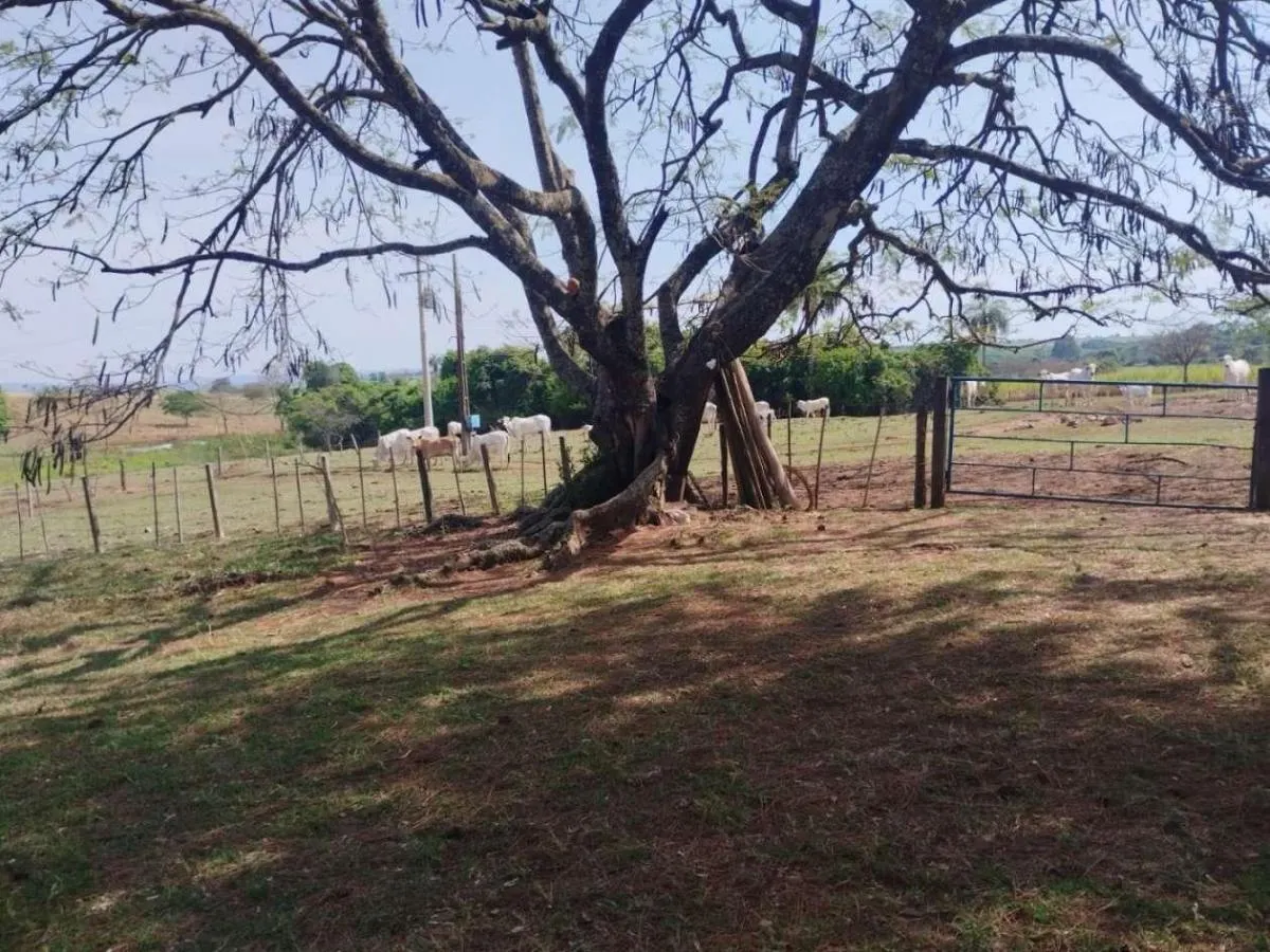 Sítio à venda de 13 ha em Cajuru, SP, Brasil