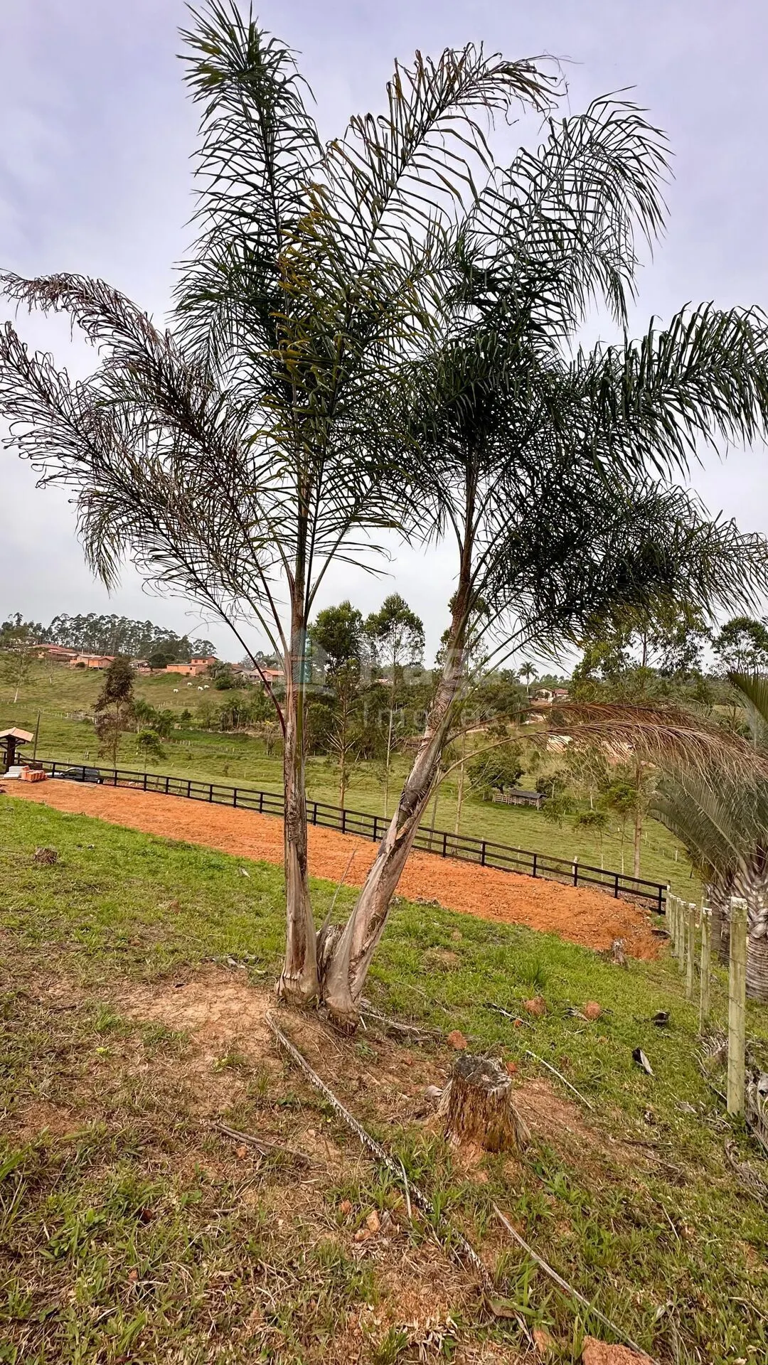 Country home for sale of 1,702 m² in Canelinha, SC, Brazil