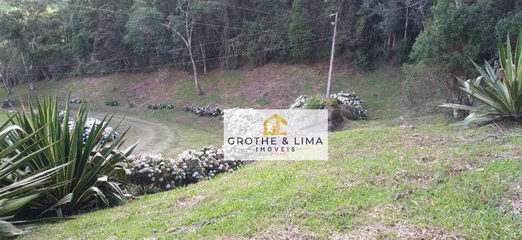 Sítio à venda de 29 ha em Paraisópolis, MG, Brasil