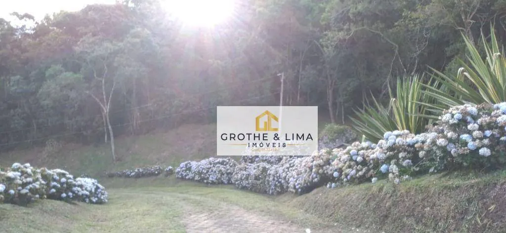 Sítio à venda de 29 ha em Paraisópolis, MG, Brasil