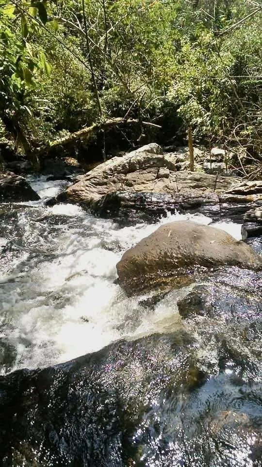 Fazenda à venda de 152 ha em Cachoeira Paulista, SP, Brasil