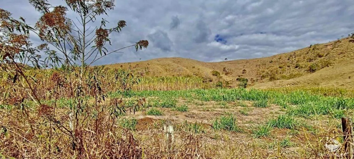 Fazenda à venda de 152 ha em Cachoeira Paulista, SP, Brasil