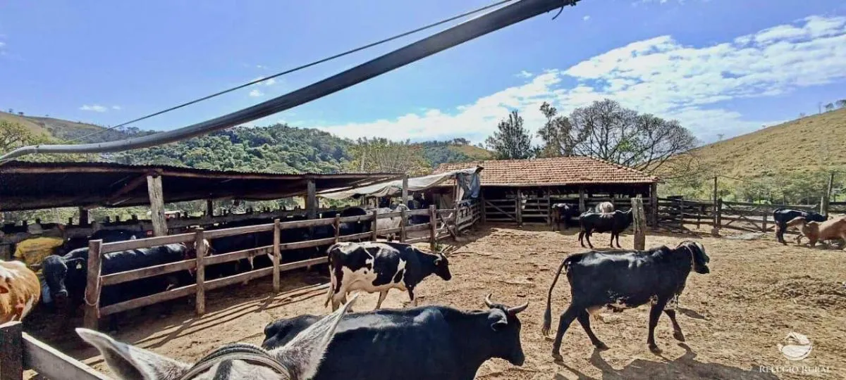 Fazenda à venda de 152 ha em Cachoeira Paulista, SP, Brasil