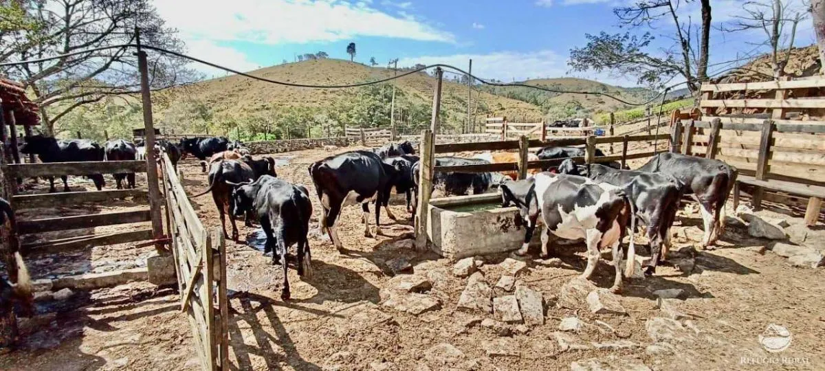 Fazenda à venda de 152 ha em Cachoeira Paulista, SP, Brasil