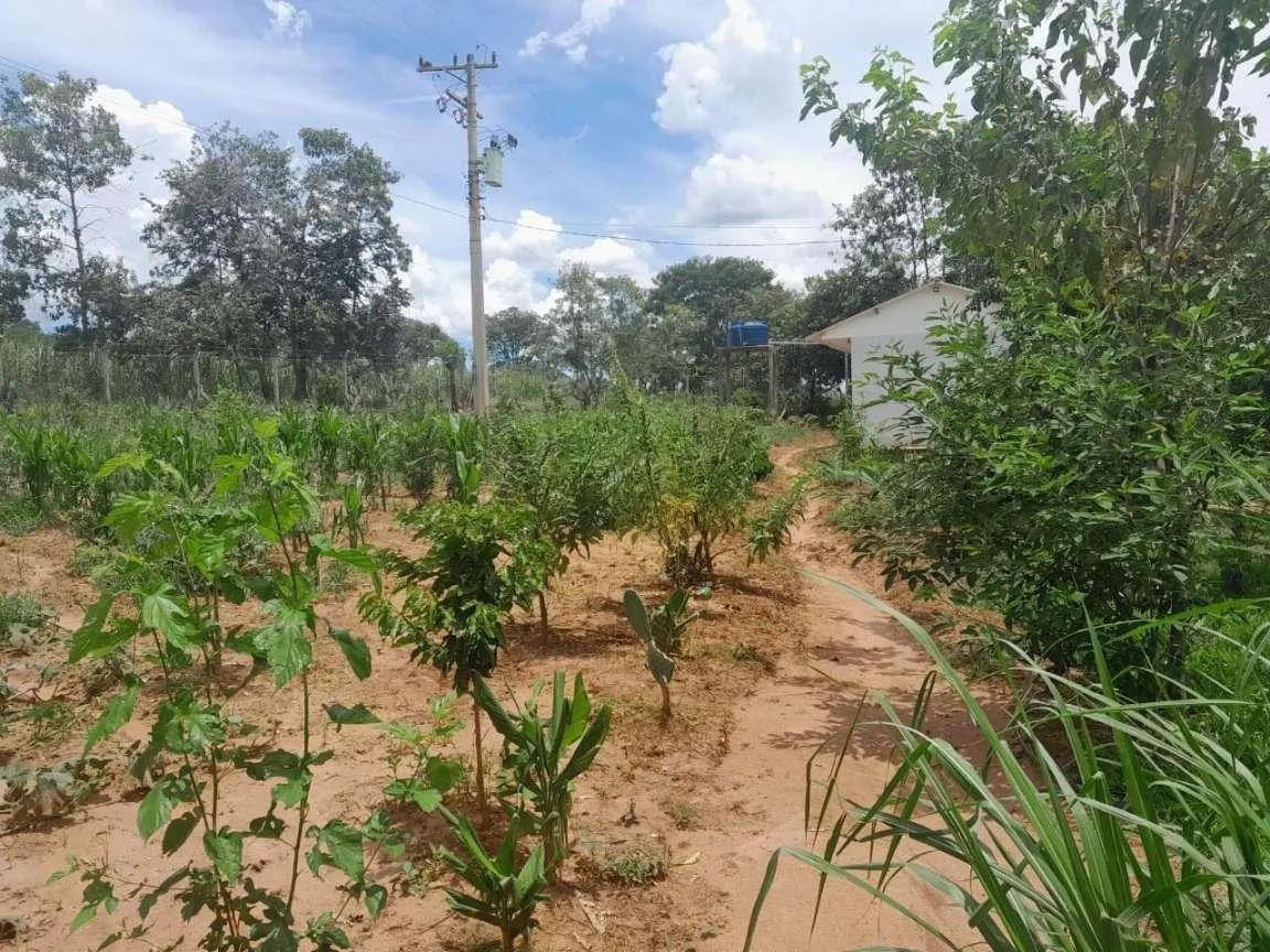 Sítio à venda de 9 ha em Cajuru, SP, Brasil