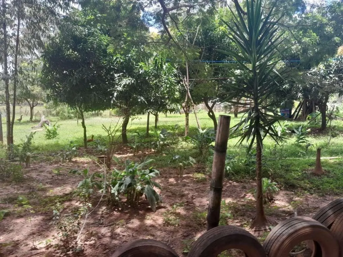 Sítio à venda de 9 ha em Cajuru, SP, Brasil