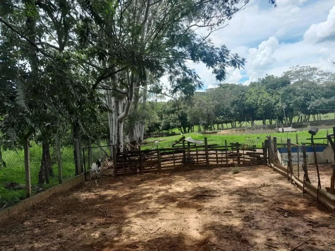 Sítio à venda de 9 ha em Cajuru, SP, Brasil