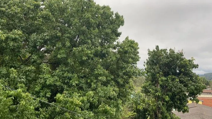 Country home for sale of 392 m² in Rolante, RS, Brazil