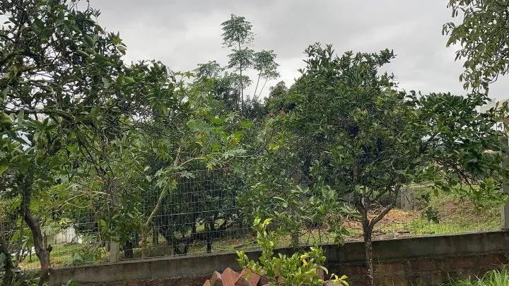 Country home for sale of 392 m² in Rolante, RS, Brazil