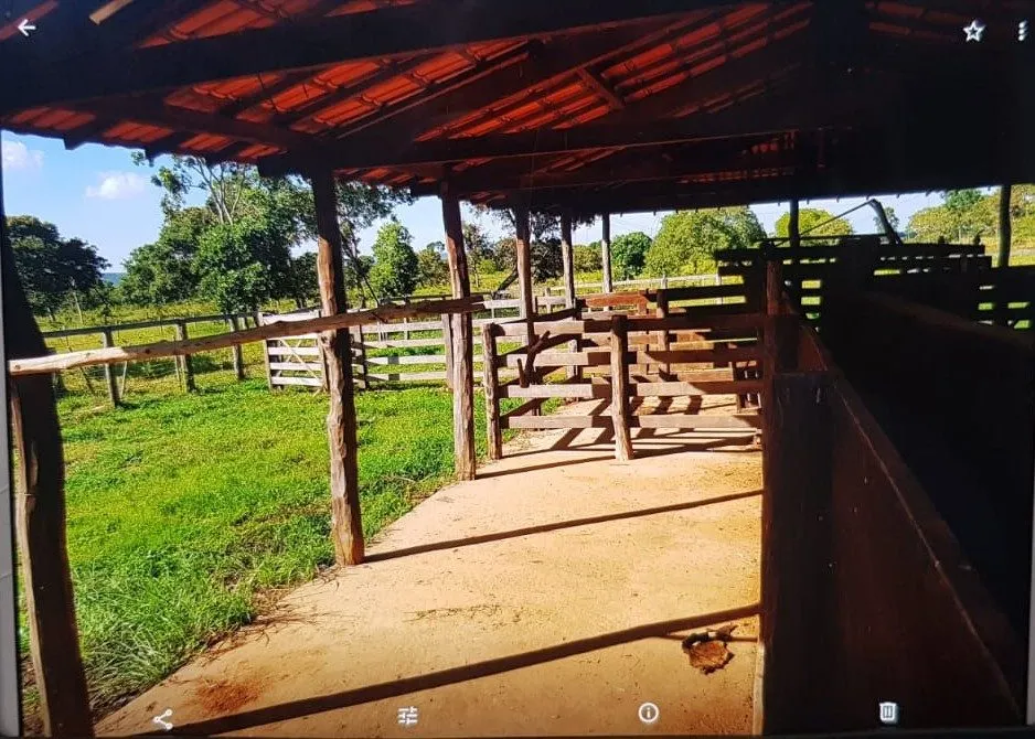 Fazenda à venda de 3.295 ha em Brasilândia de Minas, MG, Brasil