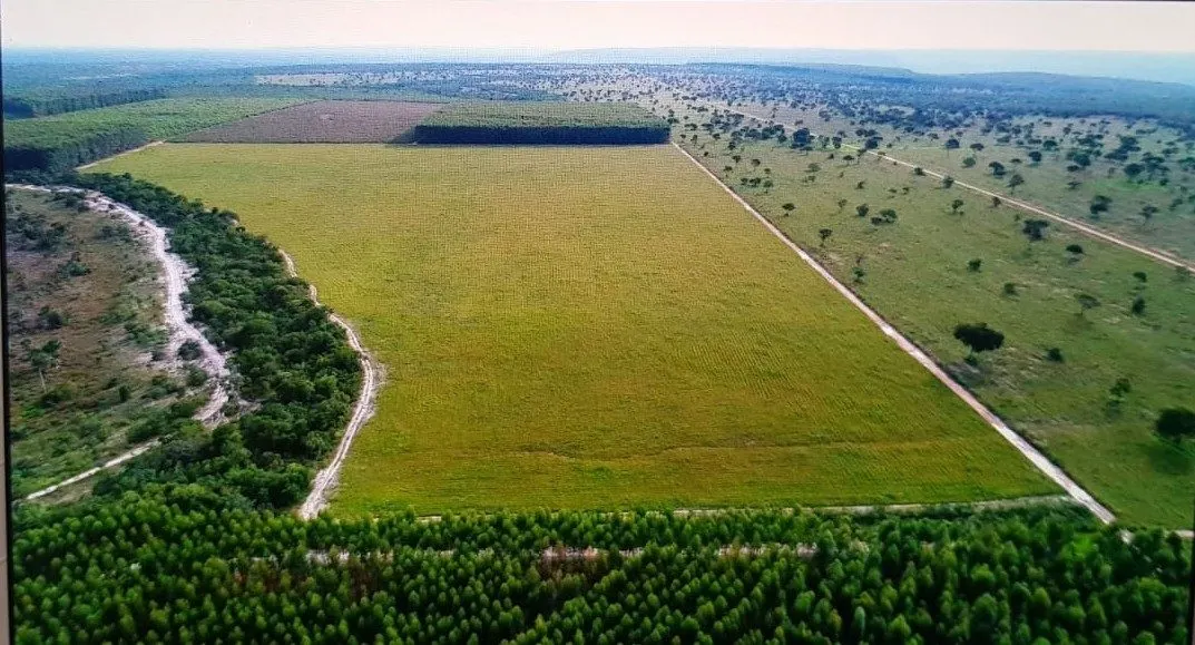 Fazenda à venda de 3.295 ha em Brasilândia de Minas, MG, Brasil