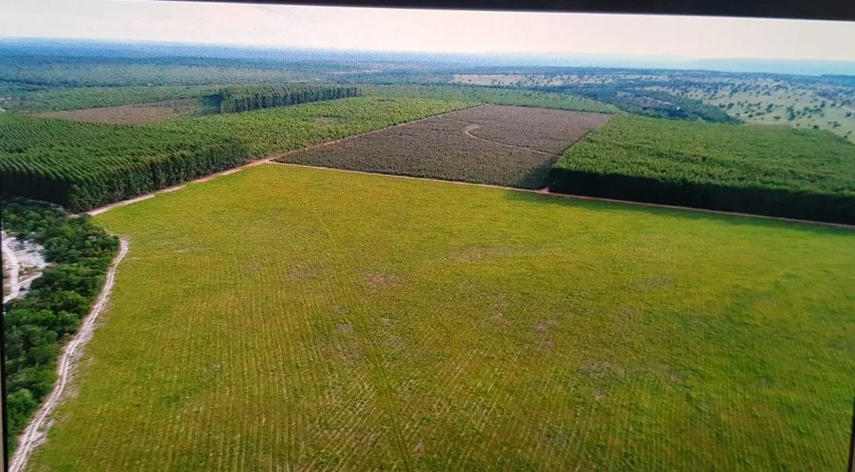 Fazenda à venda de 3.295 ha em Brasilândia de Minas, MG, Brasil