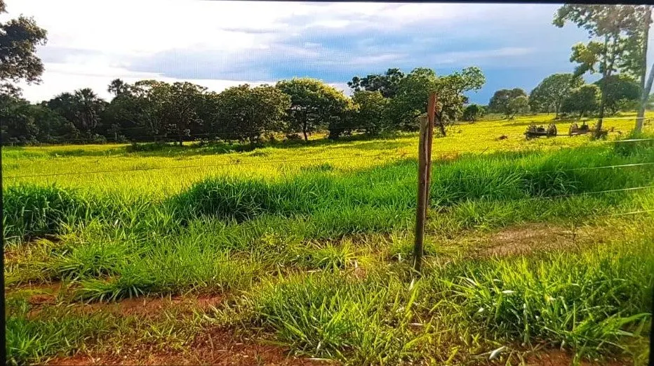 Fazenda à venda de 3.295 ha em Brasilândia de Minas, MG, Brasil