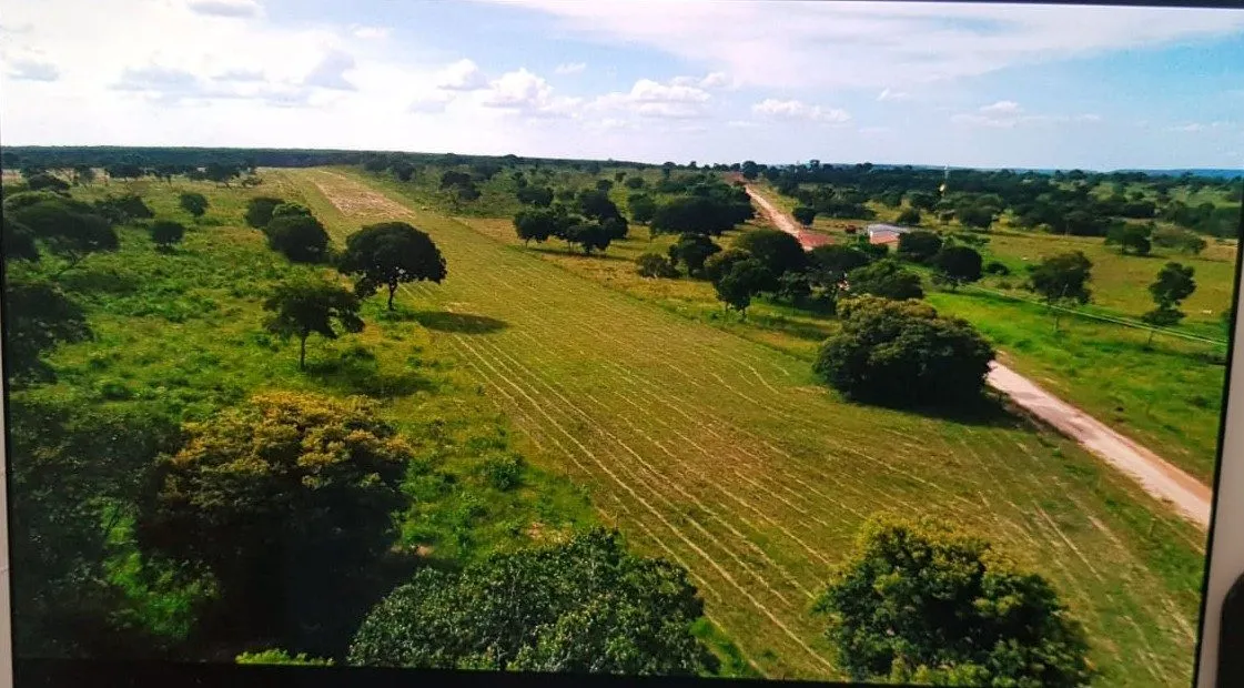 Fazenda à venda de 3.295 ha em Brasilândia de Minas, MG, Brasil