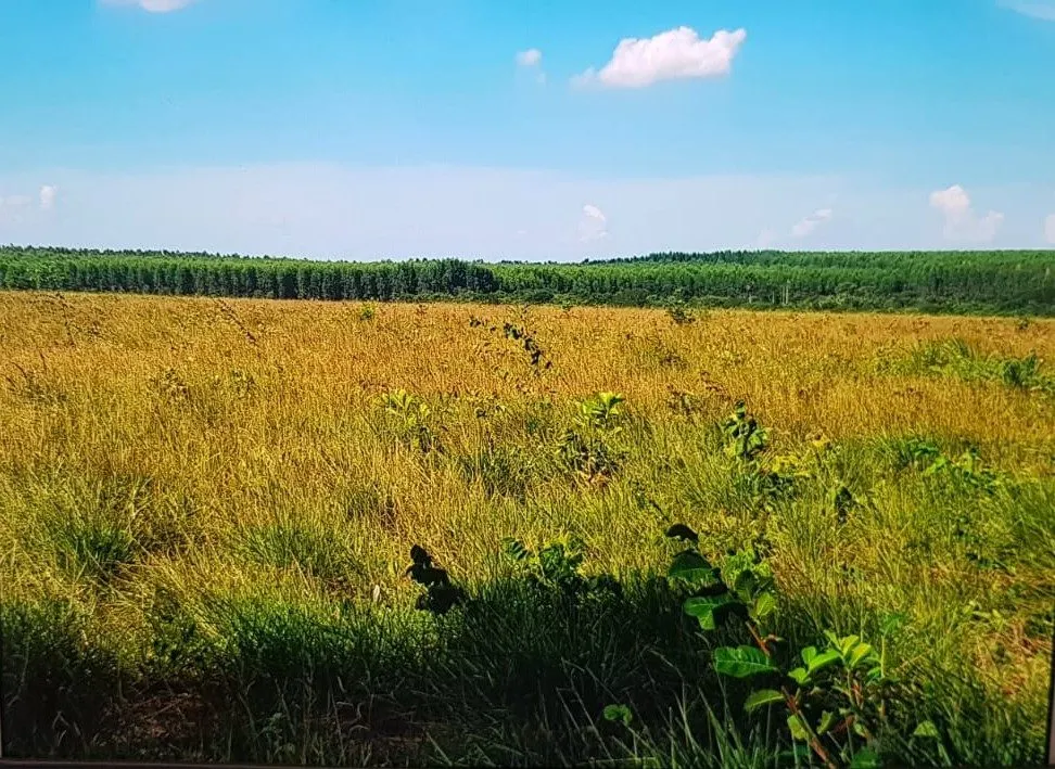Fazenda à venda de 3.295 ha em Brasilândia de Minas, MG, Brasil