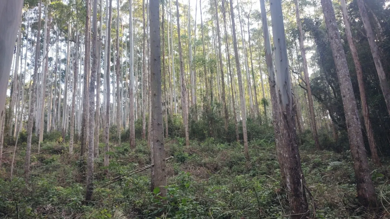 Fazenda à venda de 4.518 ha em Registro, SP, Brasil