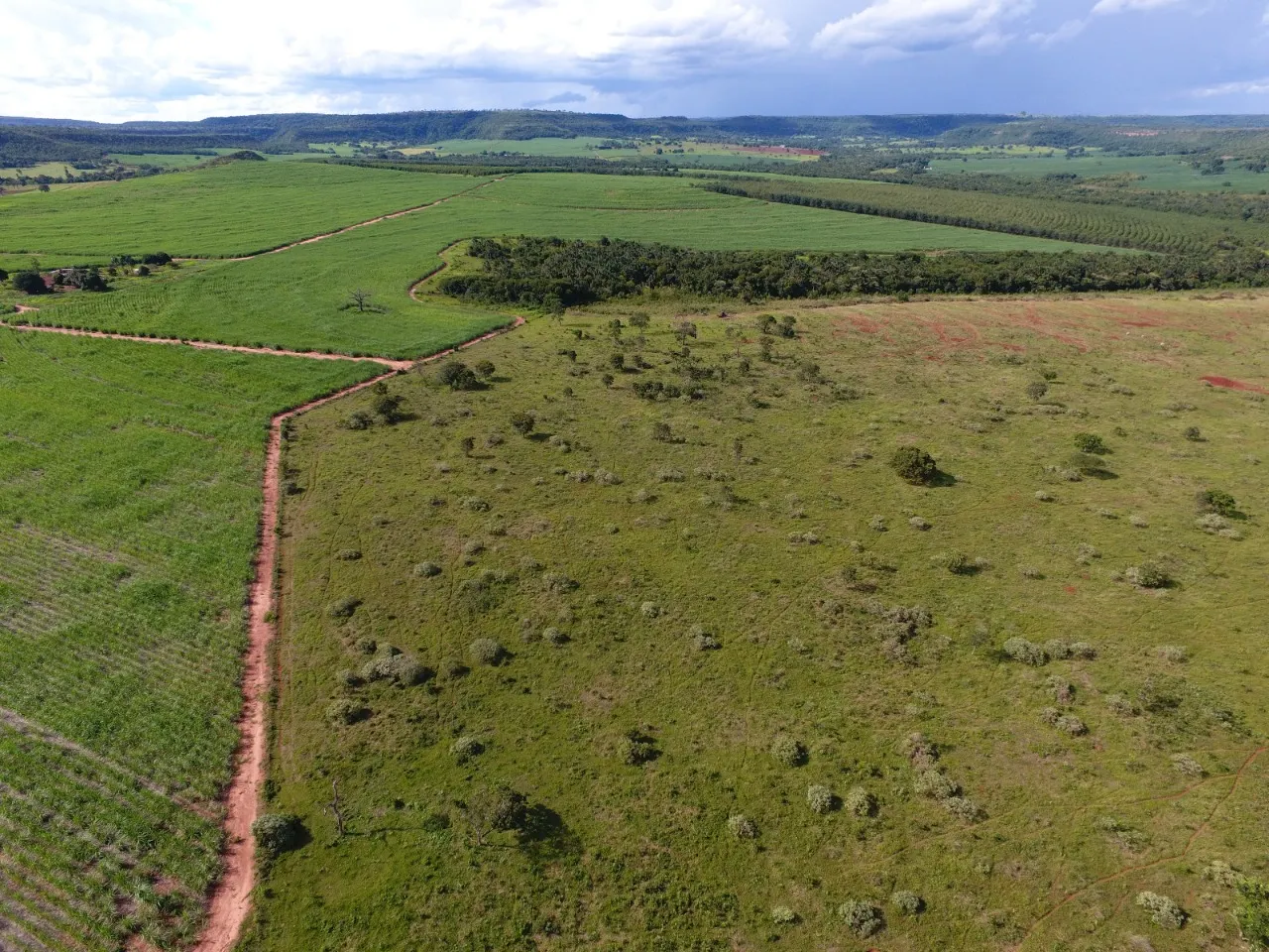Fazenda à venda de 270 ha em Prata, MG, Brasil