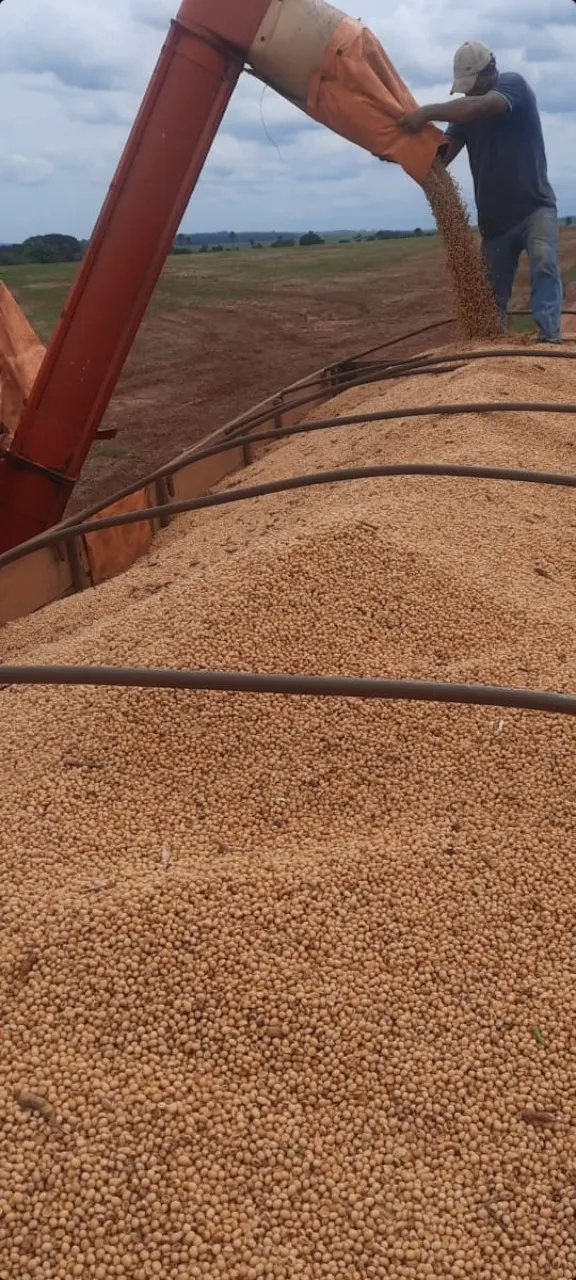 Fazenda à venda de 270 ha em Prata, MG, Brasil