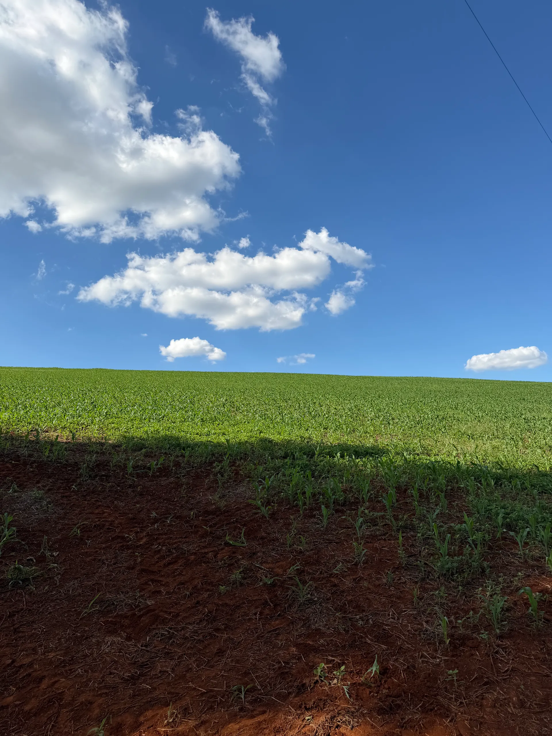 Sítio à venda e para Arrendar de 36 ha em Apucarana, PR, Brasil