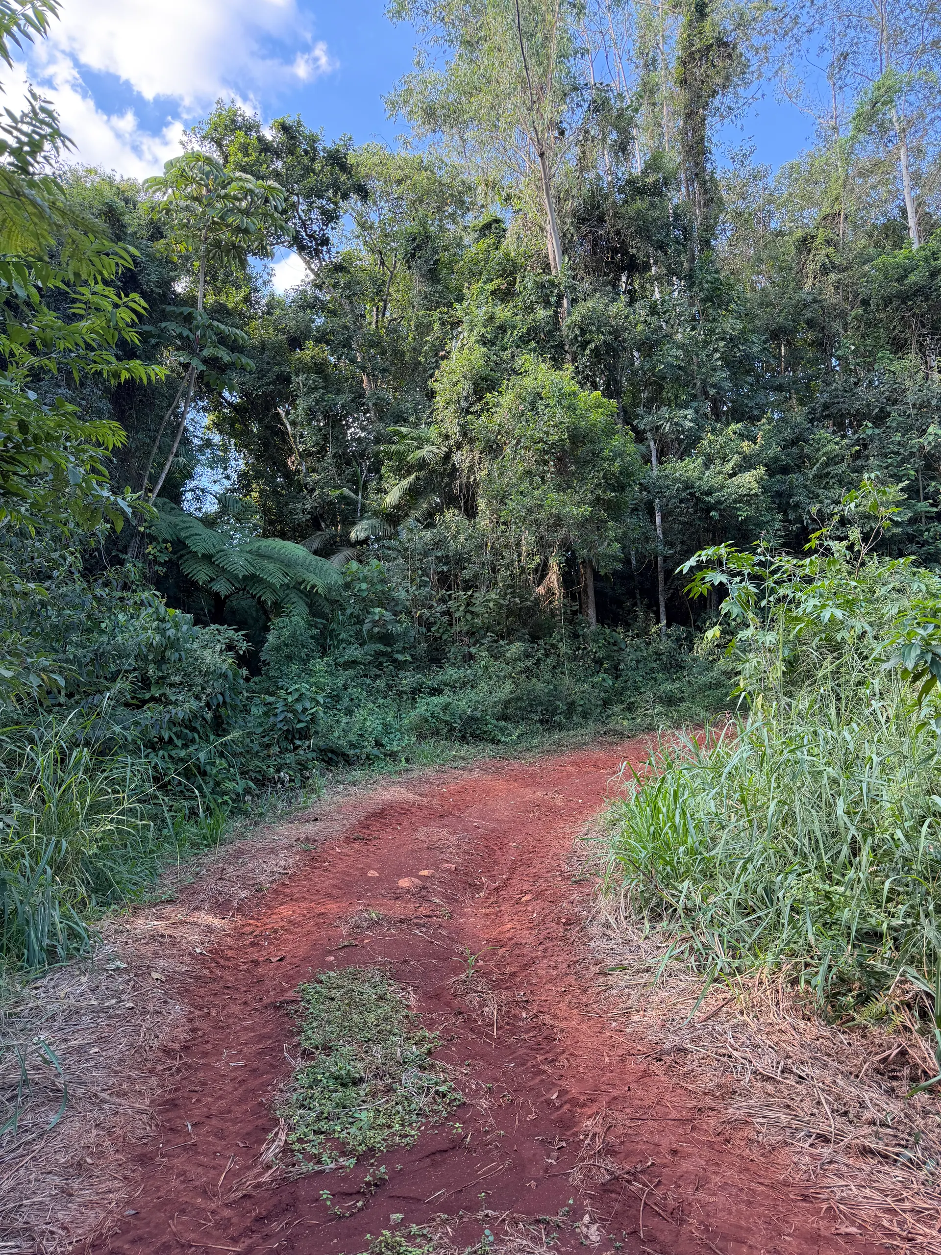 Sítio à venda e para Arrendar de 36 ha em Apucarana, PR, Brasil