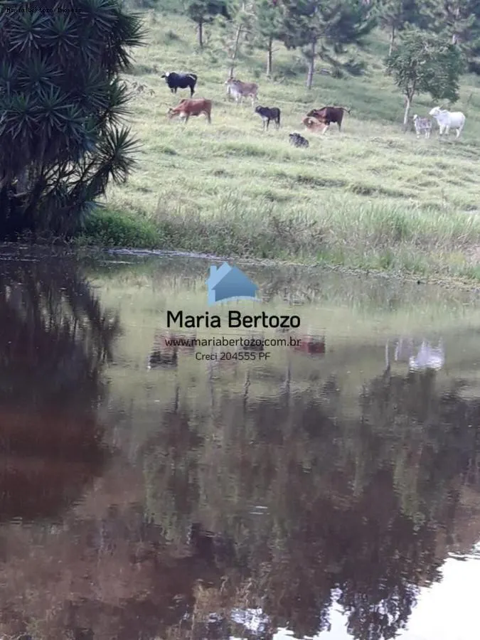 Sítio à venda de 23 ha em Mogi das Cruzes, SP, Brasil
