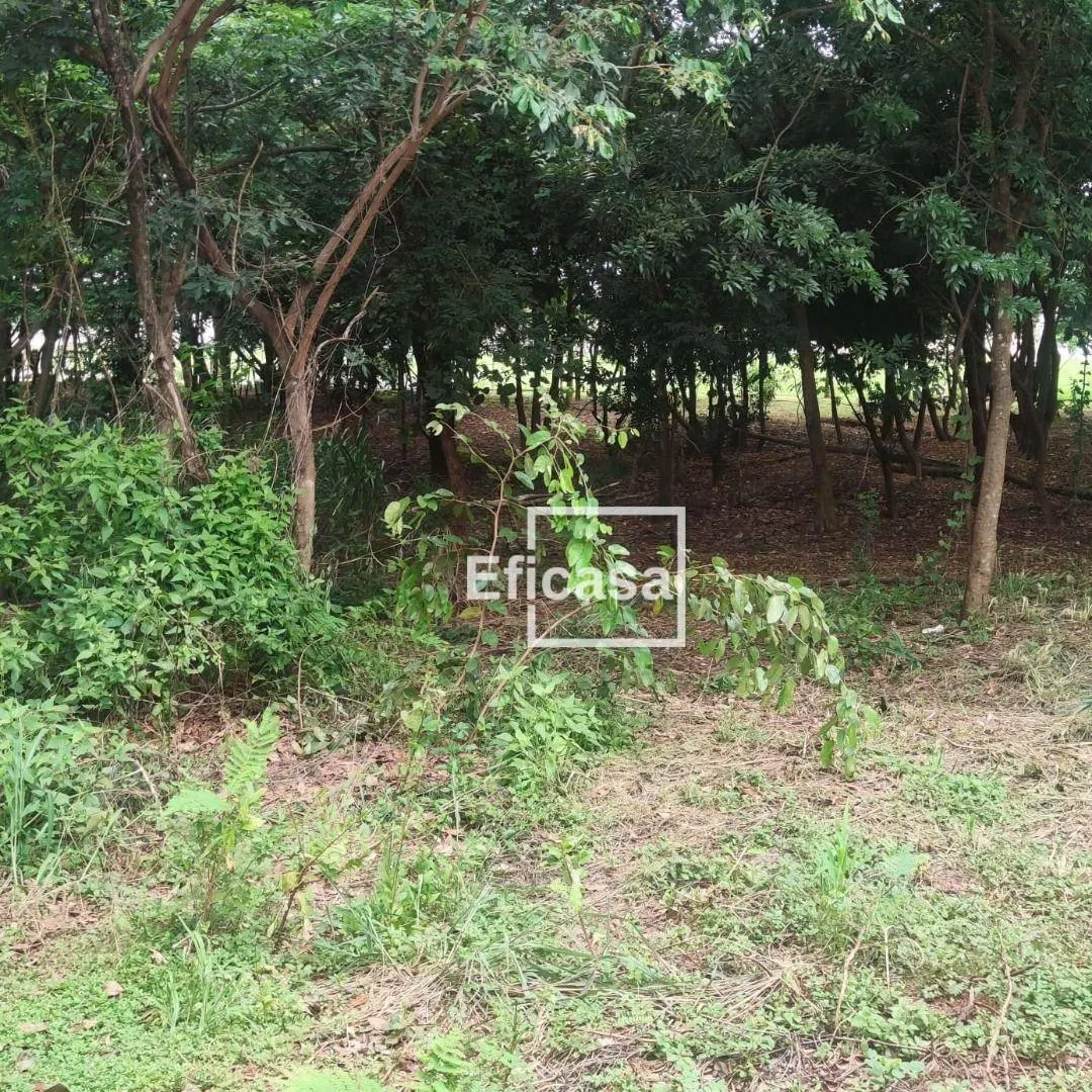 Farm for sale of 2,224 acres in Mendonça, SP, Brazil
