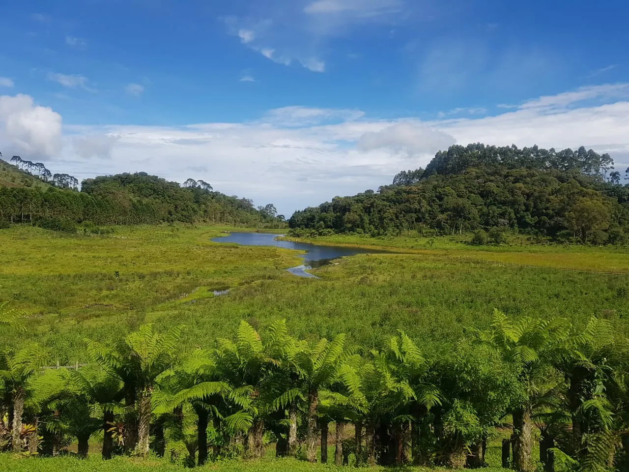 Sítio à venda de 23 ha em Cunha, SP, Brasil
