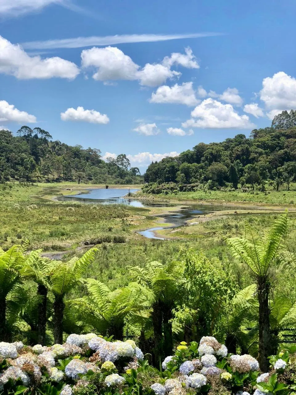 Sítio à venda de 23 ha em Cunha, SP, Brasil