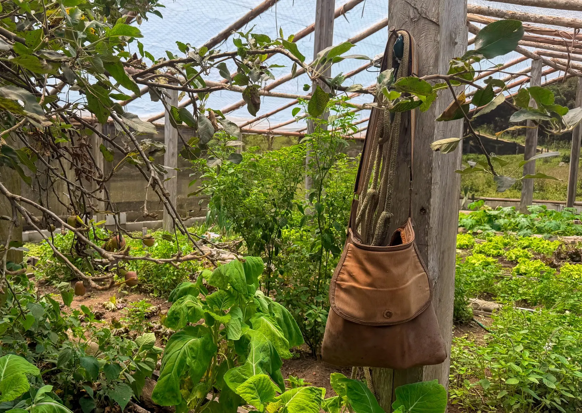 Sítio à venda de 23 ha em Cunha, SP, Brasil