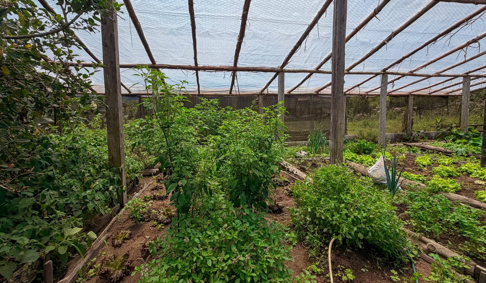 Sítio à venda de 23 ha em Cunha, SP, Brasil