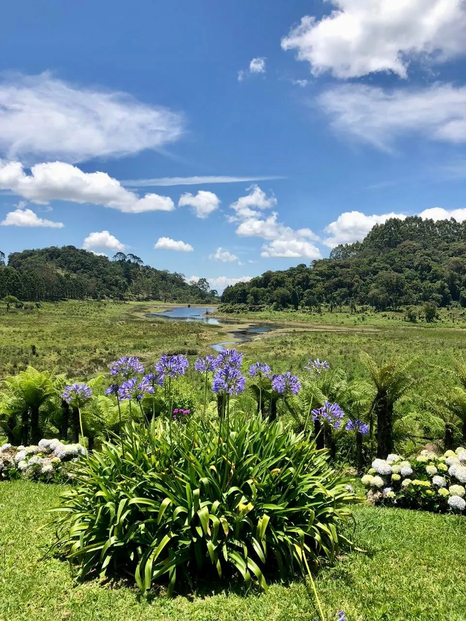 Sítio à venda de 23 ha em Cunha, SP, Brasil