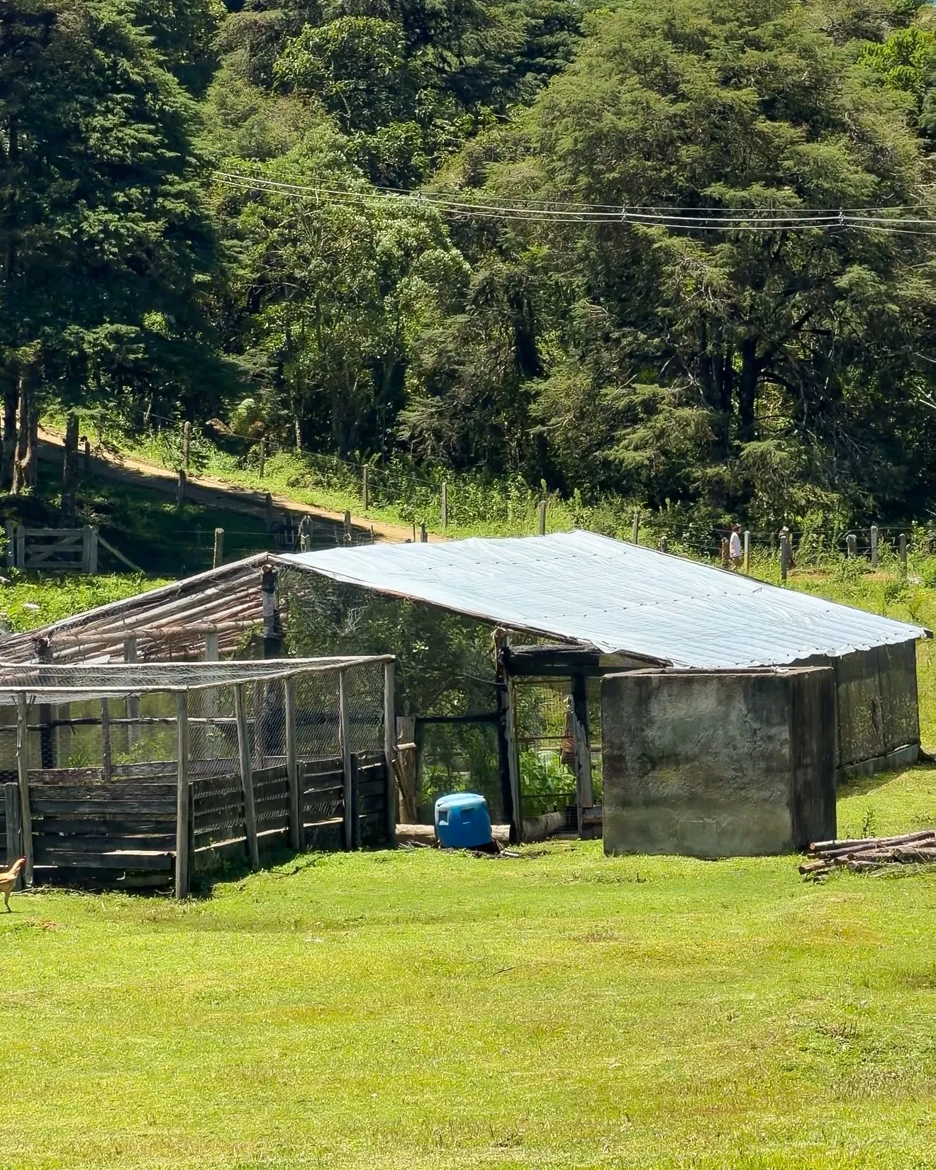 Sítio à venda de 23 ha em Cunha, SP, Brasil