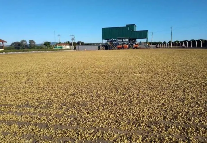 Fazenda à venda de 1.526 ha em Piumhi, MG, Brasil