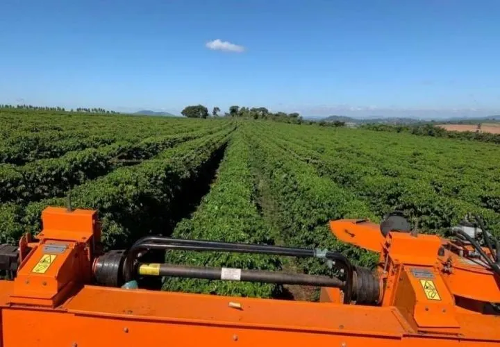 Fazenda à venda de 1.526 ha em Piumhi, MG, Brasil