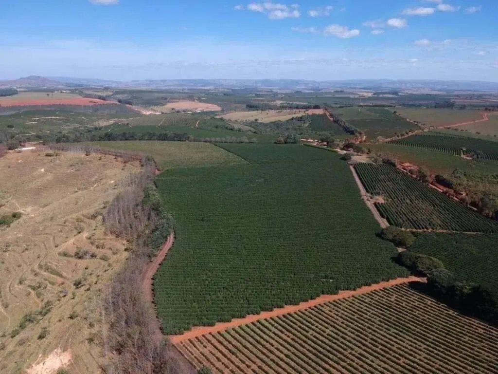 Fazenda à venda de 1.526 ha em Piumhi, MG, Brasil