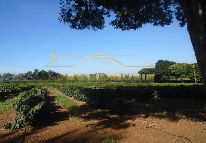 Fazenda à venda de 1.526 ha em Piumhi, MG, Brasil