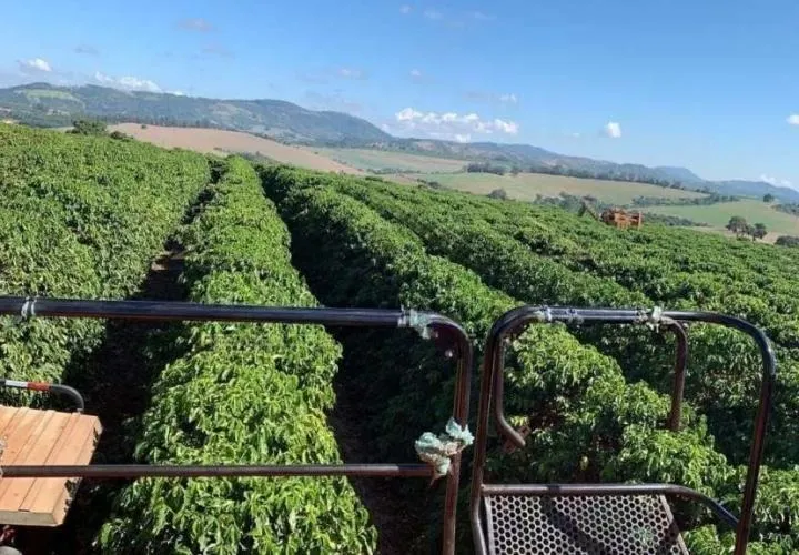 Fazenda à venda de 1.526 ha em Piumhi, MG, Brasil