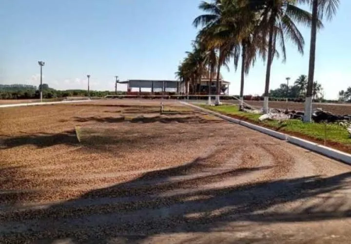 Fazenda à venda de 1.526 ha em Piumhi, MG, Brasil