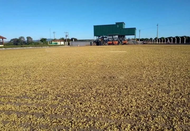 Fazenda à venda de 1.526 ha em Piumhi, MG, Brasil