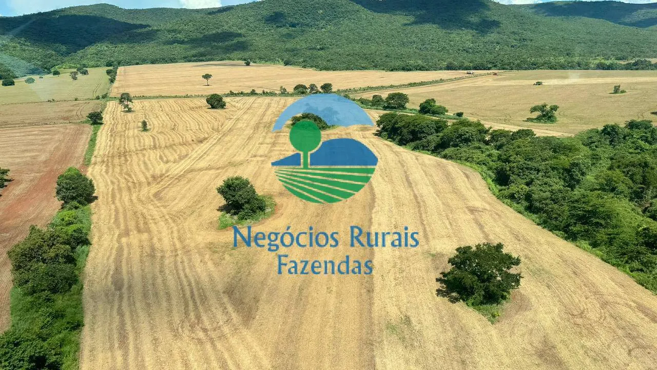 Farm for sale of 4,166 acres in Barro Alto, GO, Brazil