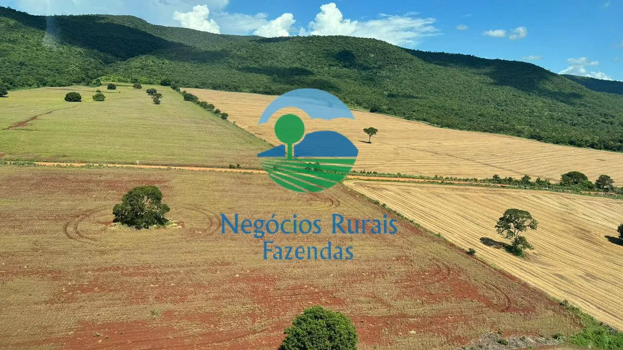 Farm for sale of 4,166 acres in Barro Alto, GO, Brazil